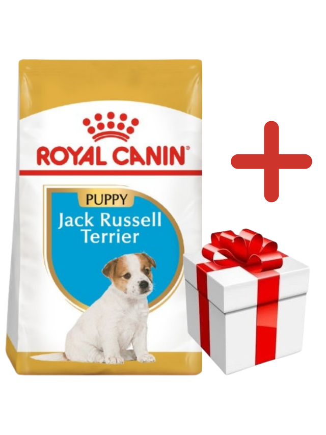 ROYAL CANIN Jack Russell Terrier Puppy 3kg karma sucha dla szczeniąt do 10 miesiąca, rasy jack russel terrier + NIESPODZIANKA DLA PSA GRATIS!!