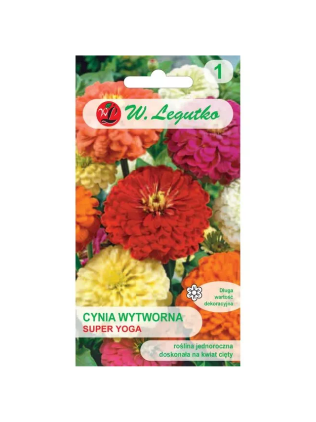 Cynia wytworna Super Yoga mieszanka wielkokwiatowa