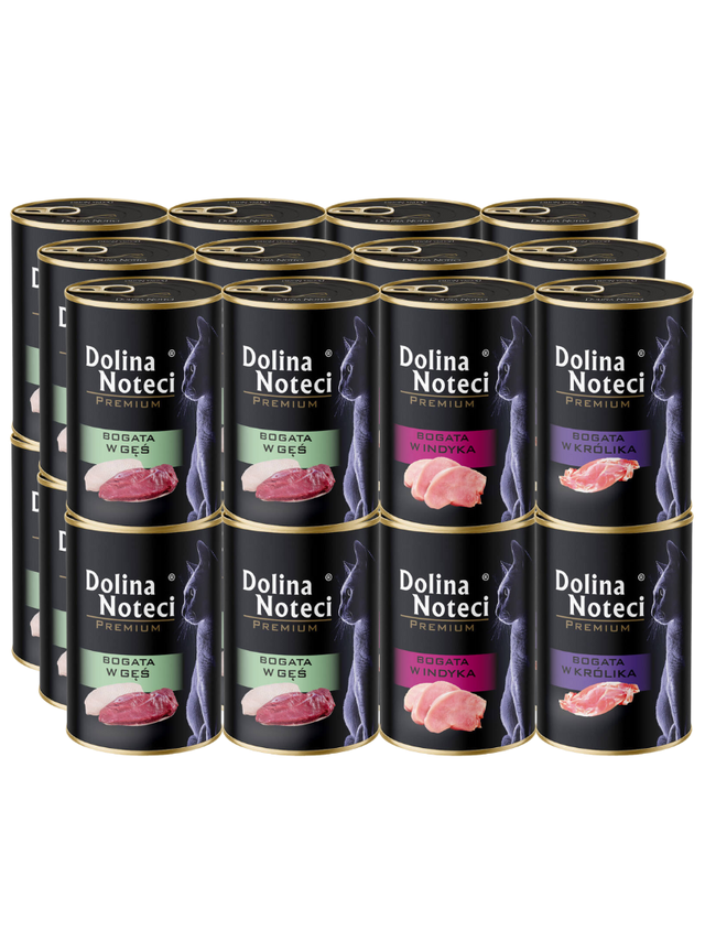 Dolina Noteci Premium dla kota mix smaków 24x400g