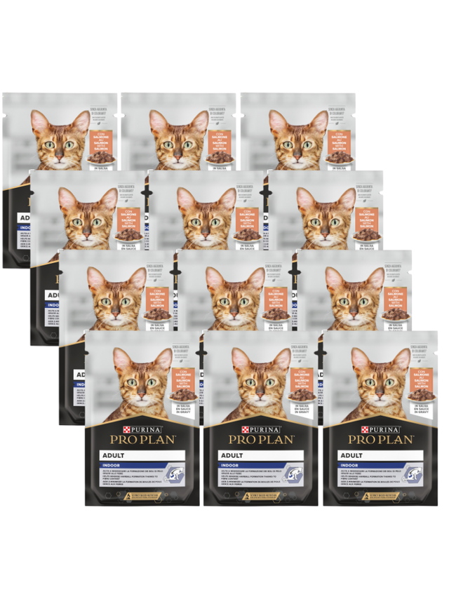 Purina Pro Plan Indoor Adult z łososiem dla kotów 12x85g