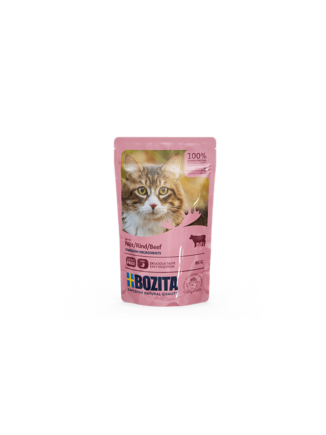 BOZITA Kawałki w sosie z wołowiną (saszetka) 85g