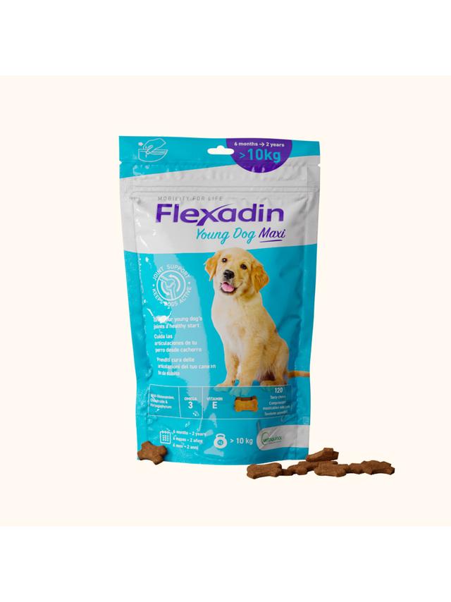 VETOQUINOL Flexadin Young Dog Maxi 60 kąsków