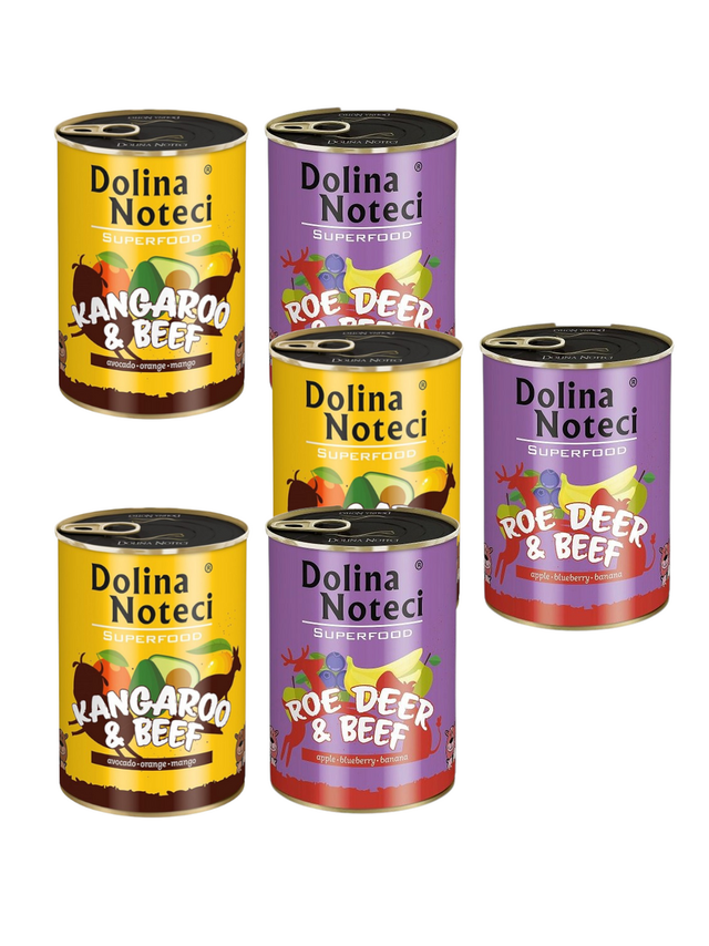 DOLINA NOTECI PREMIUM SUPERFOOD Mix smaków  12x400g