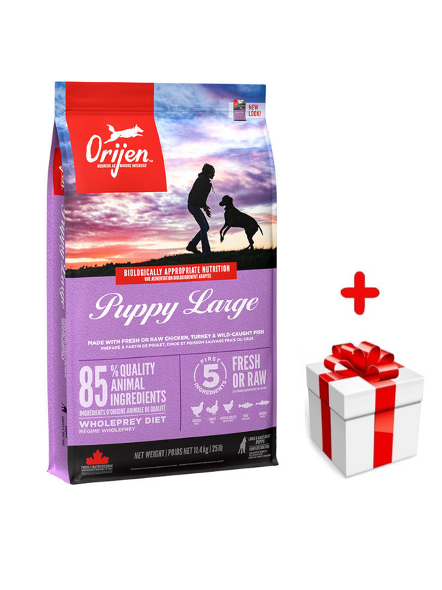 ORIJEN Dog Puppy Large 11,4kg + niespodzianka dla psa GRATIS!