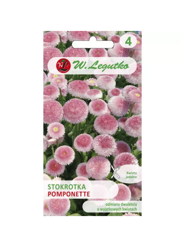 Stokrotka pospolita Pomponette - różowa