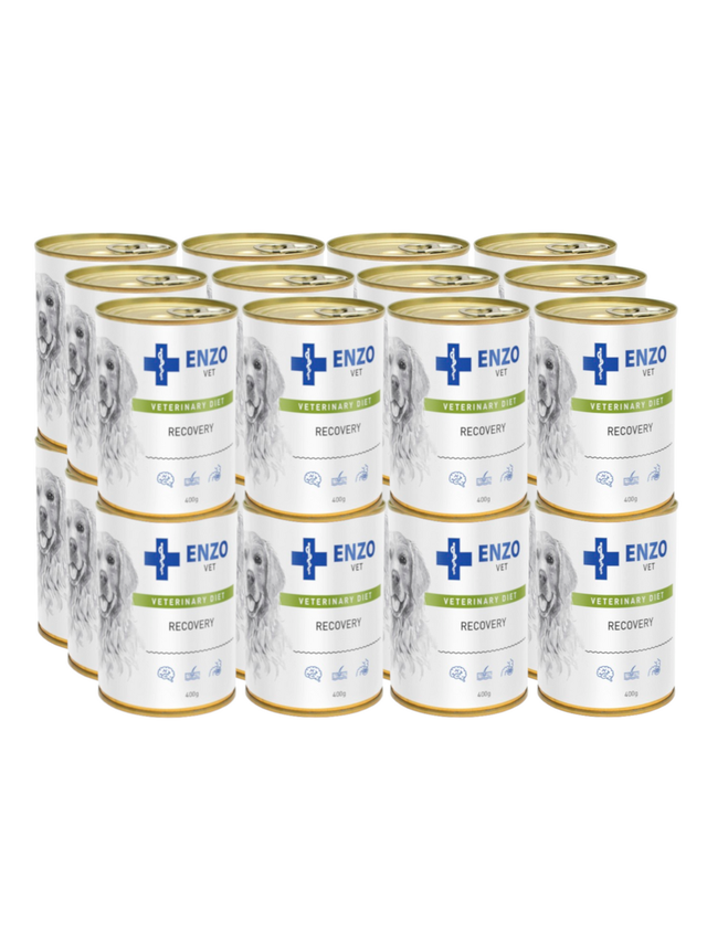 ENZO VET Recovery dieta w okresie rekonwalescencji dla psów 24x400g