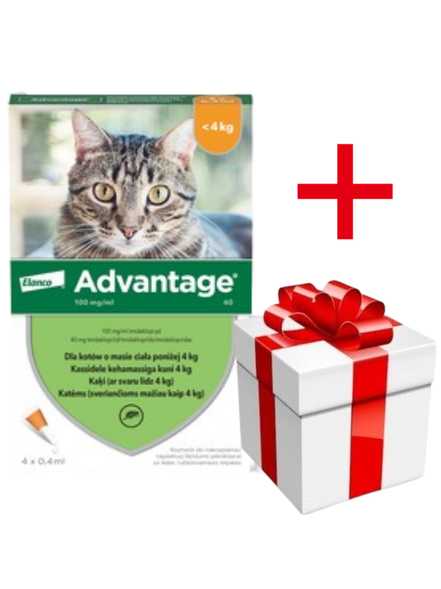 Advantage - dla kotów (0,4mlx4)  *roztwór*  blister +  niespodzianka dla kota GRATIS!!!