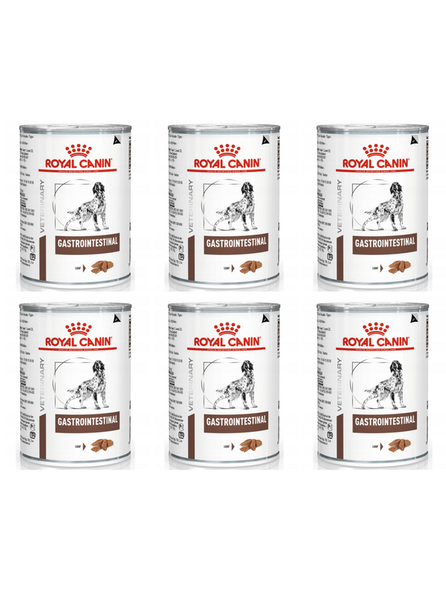 ROYAL CANIN Gastro Intestinal GI25 6x400g puszka PIES
