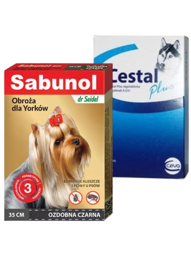 Sabunol ozdobna czarna obroża dla Yorków 35 cm+ Cestal Dog Plus tabletki na odrobaczanie psów 2 sztuki