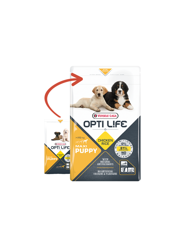 VERSELE-LAGA Opti Life Puppy Maxi 12,5kg + niespodzianka dla psa GRATIS!