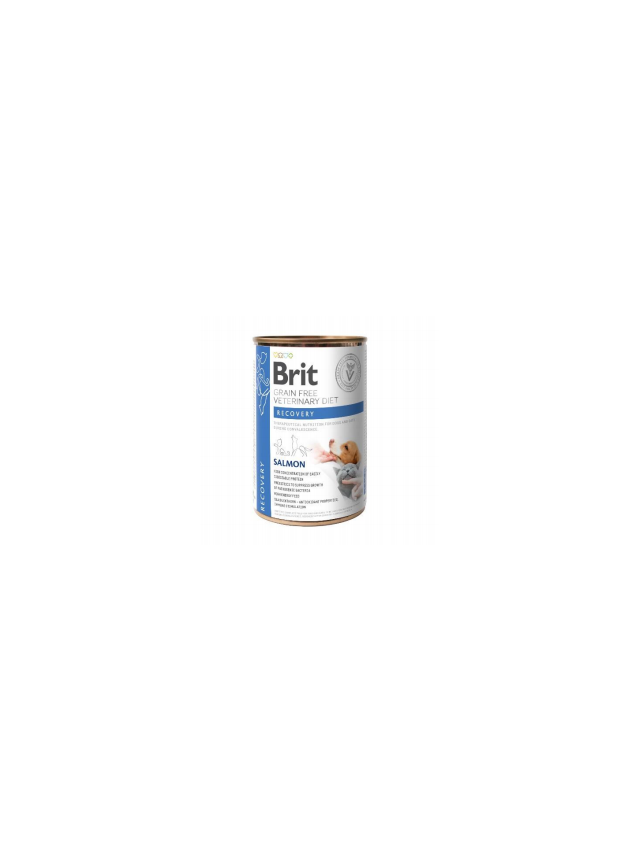 BRIT GF Veterinary Diets Recovery Salmon 400g - karma mokra dla psa i kota