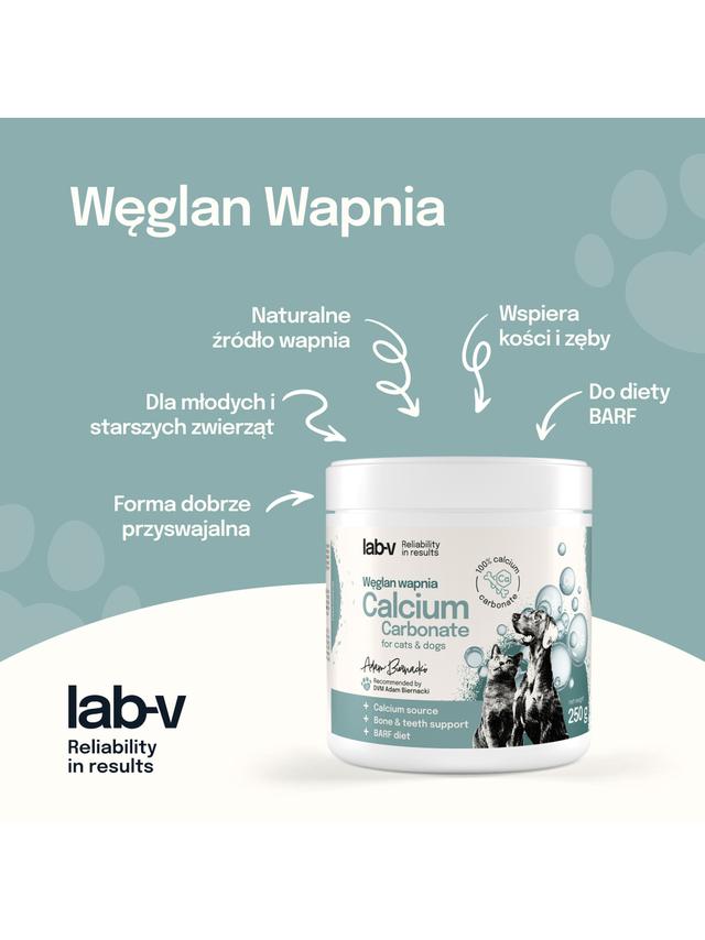 Lab-v Węglan Wapnia – Naturalne źródło wapnia dla psów i kotów 250 g