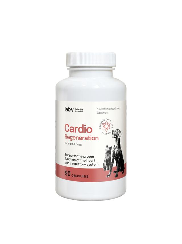 Lab-v Cardio Regeneration – Wsparcie prawidłowego funkcjonowania pracy serca i układu krążenia dla psów i kotów 90 kapsułek