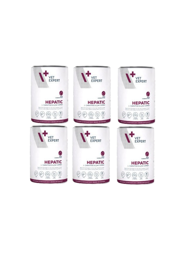 VETEXPERT Hepatic Dog 6x400g