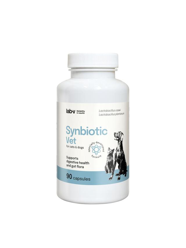 Lab-v Synbiotic Vet – Wsparcie zdrowia układu pokarmowego i mikroflory jelitowej dla psów i kotów 90 kapsułek