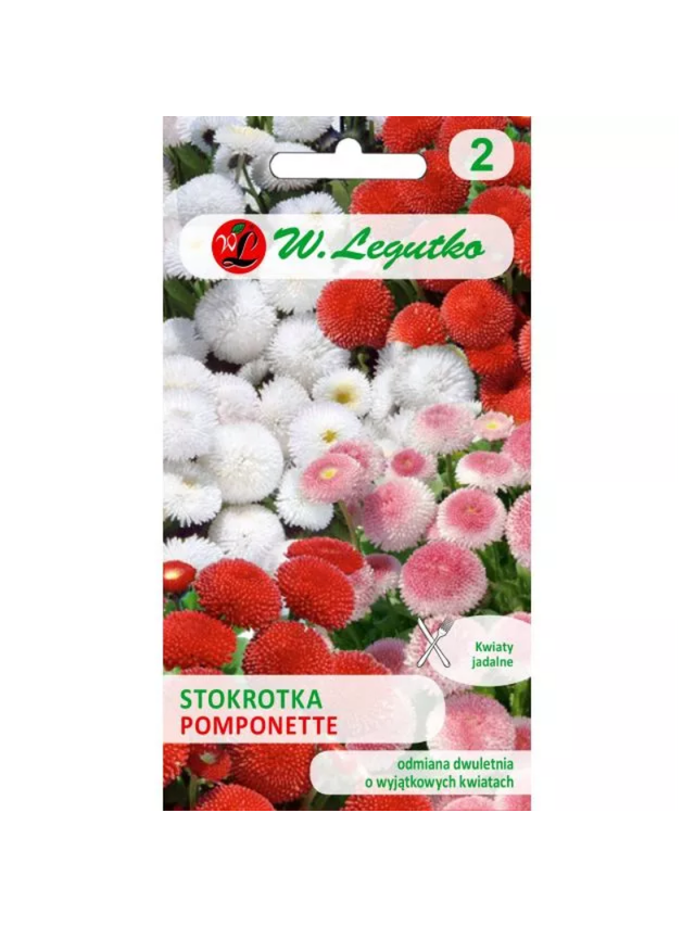 Stokrotka pospolita Pomponette - mieszanka