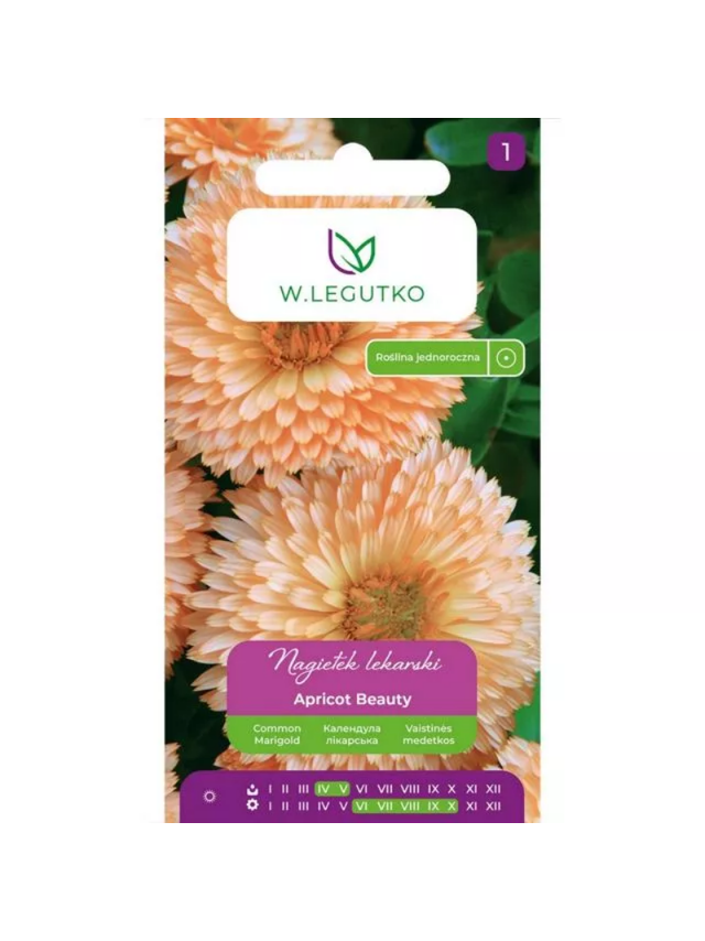 Nagietek lekarski Apricot Beauty morelowy