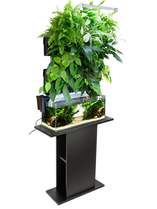 AQUAEL Ogród ścienny Versa Garden Plus