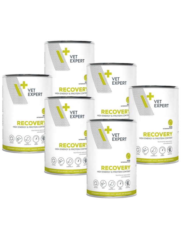 VETEXPERT Dog Diet Recovery 6x400g