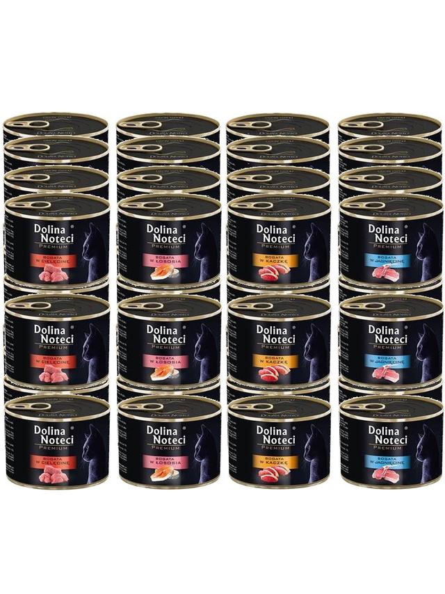 Dolina Noteci Premium dla kota Mix Smaków 48x185g