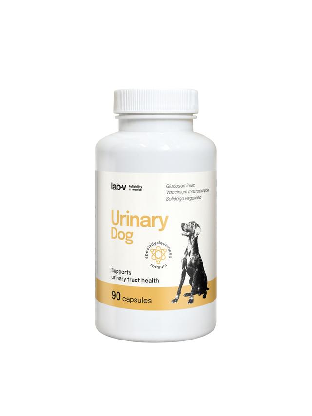 Lab-v Urinary Dog – Wsparcie przy zakażeniu dróg moczowych u psów 90 kapsułek