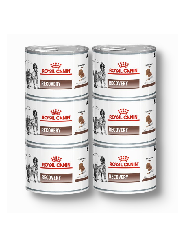 ROYAL CANIN Recovery 6x195g puszka