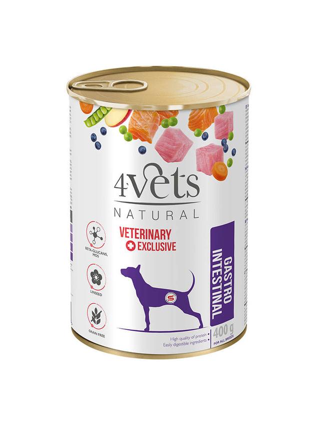 4Vets dla psów Gastro Intestinal 400g