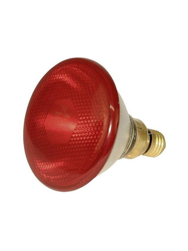 KERBL Żarówka, promiennik 100 W, czerwona, PAR38
