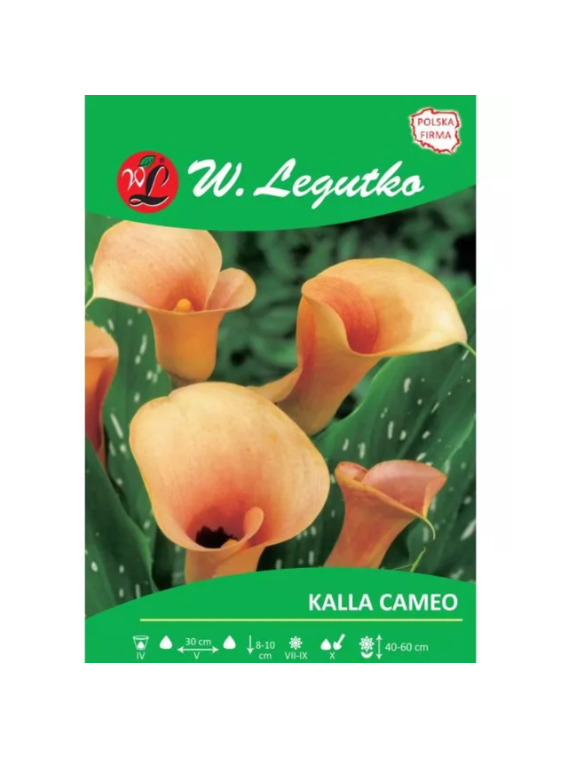 Kalla Cameo łososiowa 1szt.