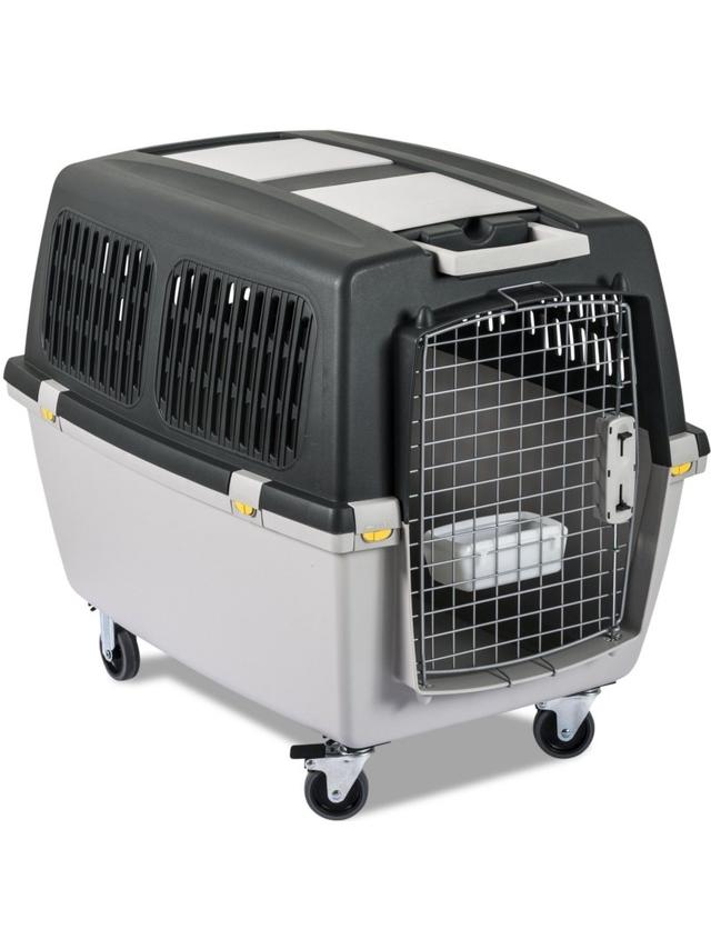 ZOLUX Transporter GULLIVER 5 IATA  81x61x60cm