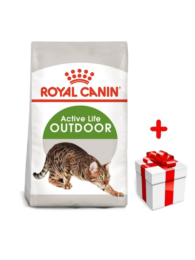 ROYAL CANIN  Outdoor 30 4kg karma sucha dla kotów dorosłych, wychodzących na zewnątrz + niespodzianka dla kota GRATIS