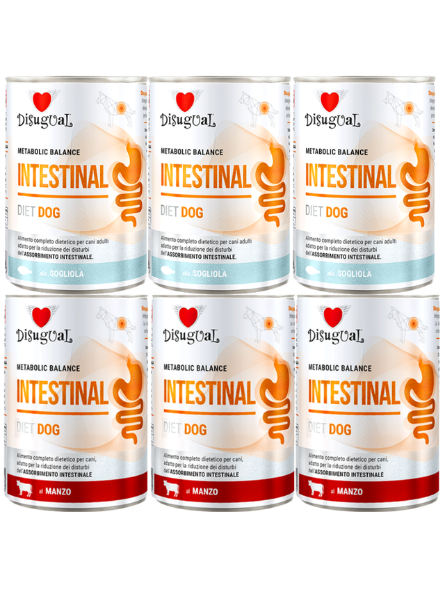 Disugual Karma mokra dla psa Weterynaryjna INTESTINAL Mix Smaków 6x00g