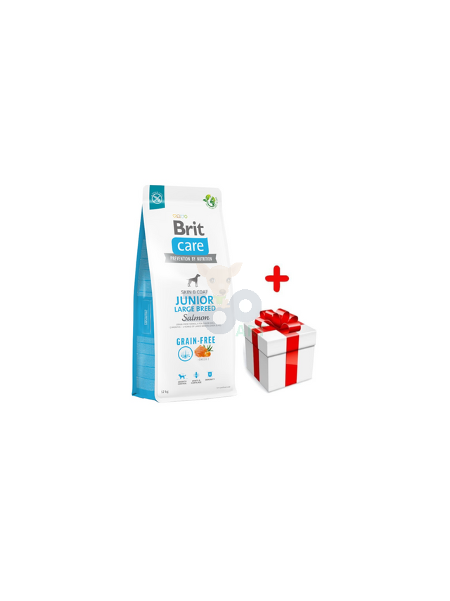 BRIT CARE Dog Grain-free Junior Large Breed Salmon 12kg + niespodzianka dla psa GRATIS!