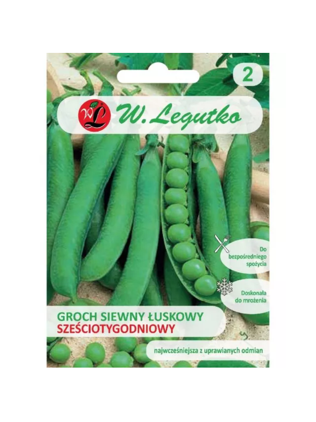 Groch siewny łuskowy Sześciotygodniowy - nasiona gładkie, wczesna