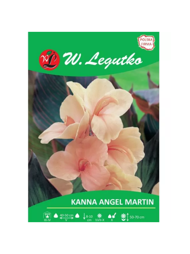 Kanna Angel Martin morelowa 1szt.