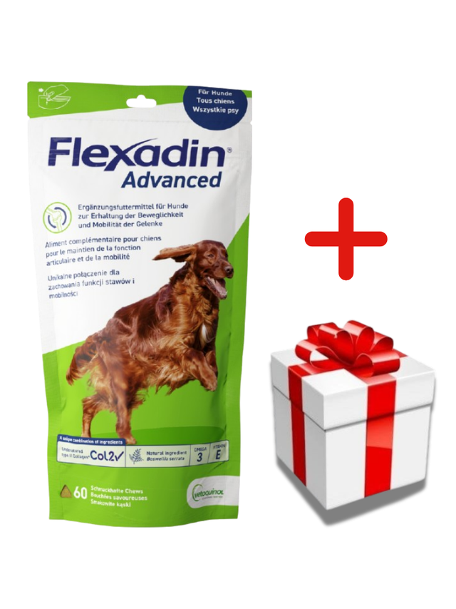 VETOQUINOL Flexadin Advanced Dietetyczna Karma Uzupełniająca Dla Psów  180g (60 kąsków) + NIESPODZIANKA DLA PSA GRATIS!!
