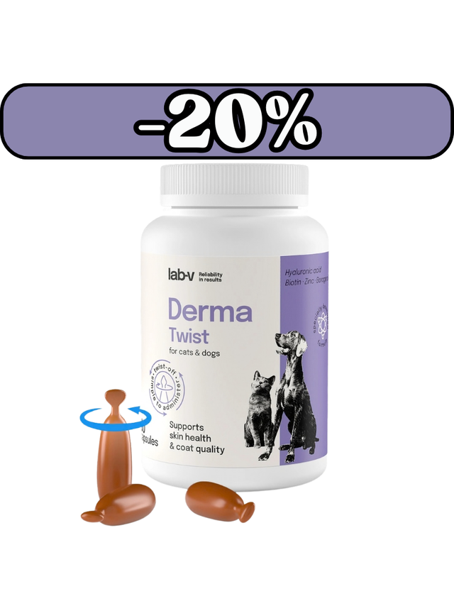 Lab-v Derma Twist – wsparcie skóry, sierści i bariery ochronnej dla psów i kotów 60 kapsułek twist off