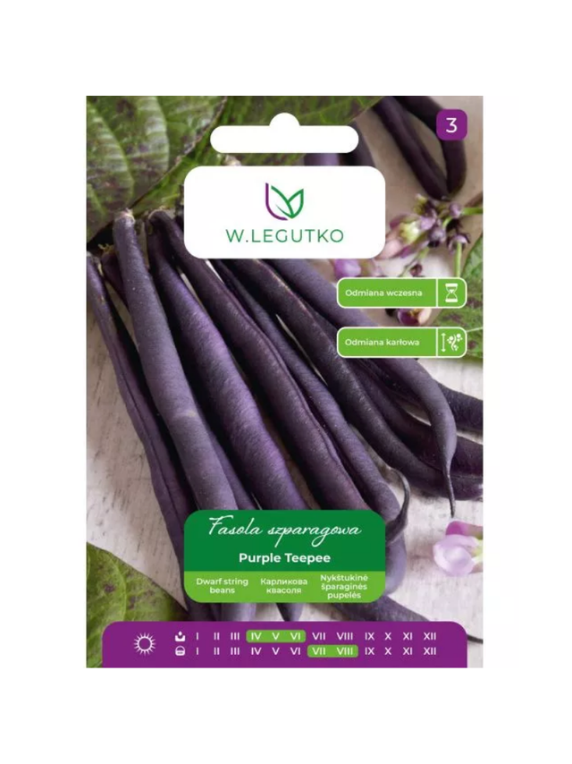 Fasola zwykła szparagowa karłowa fioletowostrąkowa Purple Teepee - wczesna