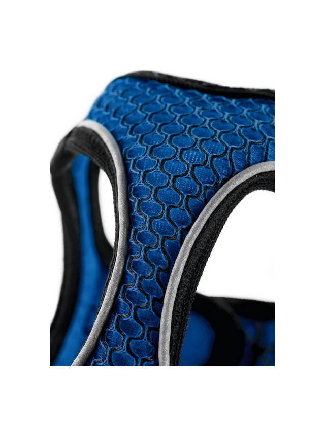 HUNTER Szelki Hilo Comfort niebieskie S-M