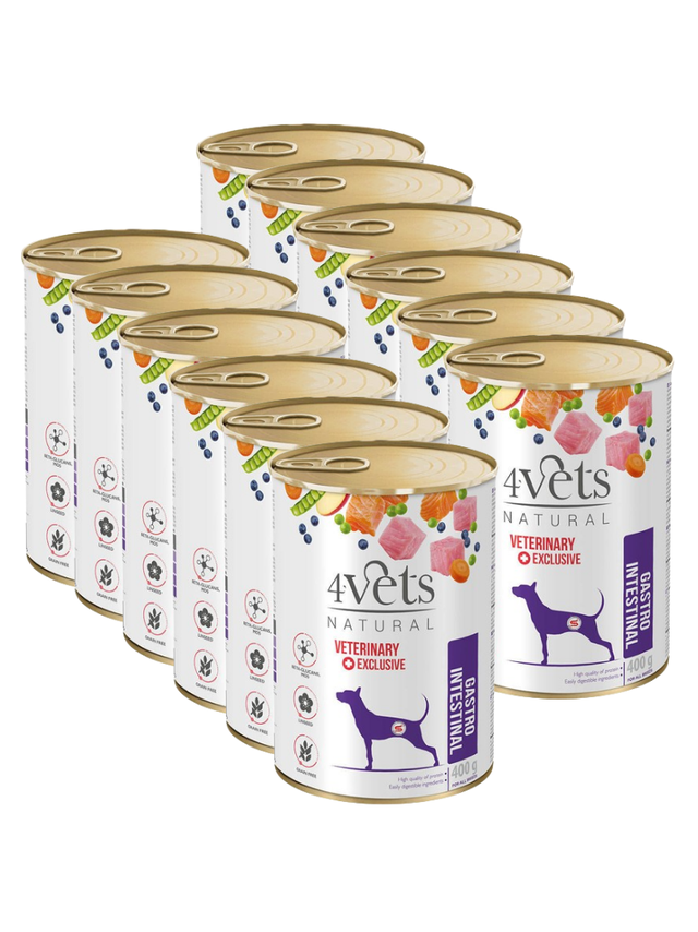 4Vets dla psów Gastro Intestinal 12x400g