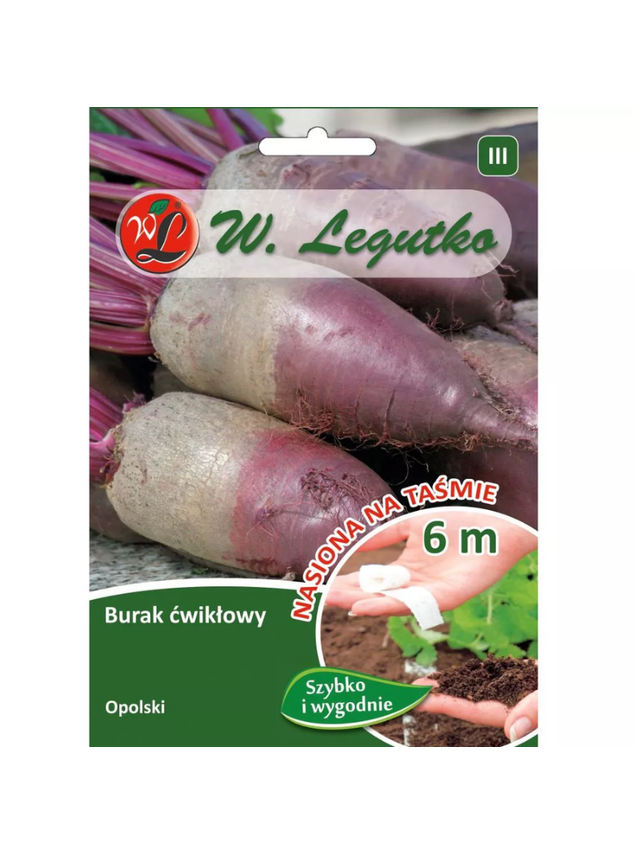 Burak ćwikłowy Opolski - cylindryczny