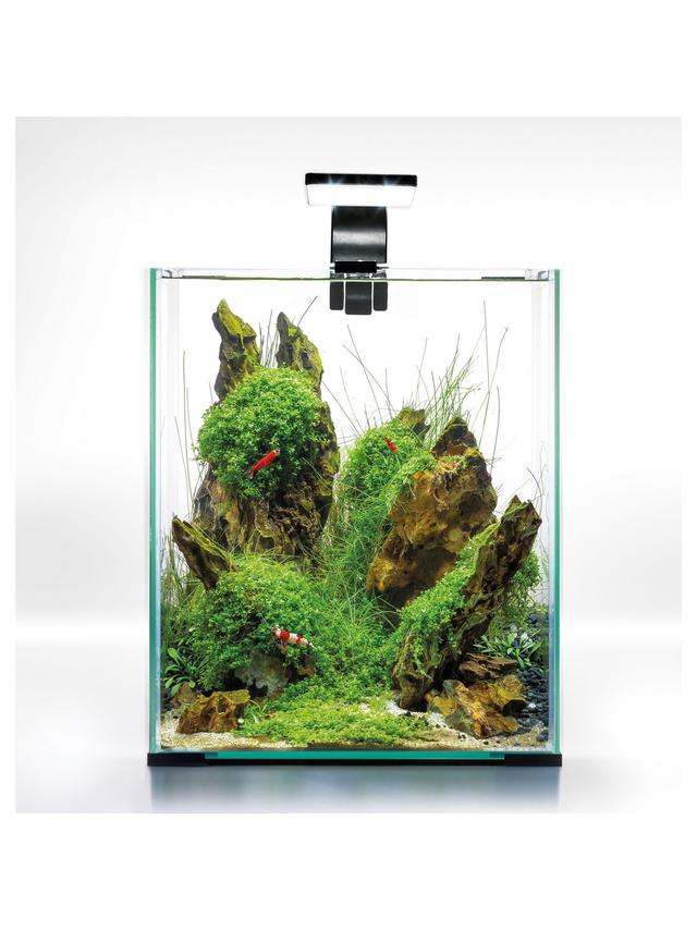 AQUAEL Zestaw Aquael Shrimp Set Day & Night [30l] - czarny