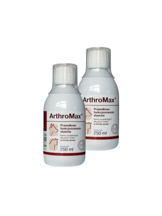 Arthromax 2x250ml