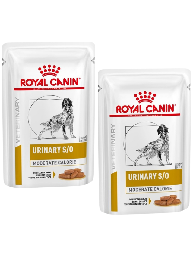ROYAL CANIN Dog Urinary Moderate Calorie 2x(12x100g) - dla psa