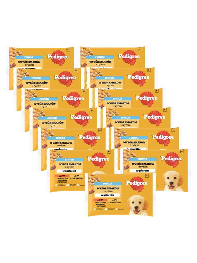 PEDIGREE Junior saszetka 13x(4x100g) - Wybór Smaków z Ryżem w Galaretce, mokra karma pełnoporcjowa dla rosnących psów (kawałki bogate w kurczaka oraz kawałki bogate w mieszankę wołowiny i wątróbki)