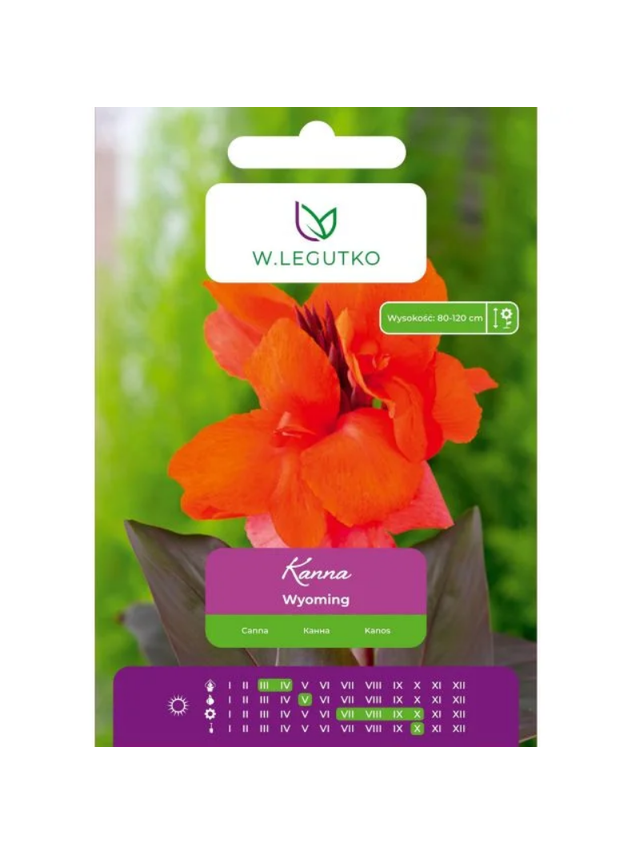Kanna Wyoming pomarańczowa 1szt.