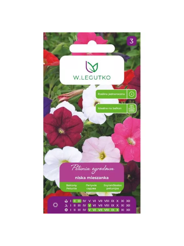 Petunia ogrodowa mieszanka