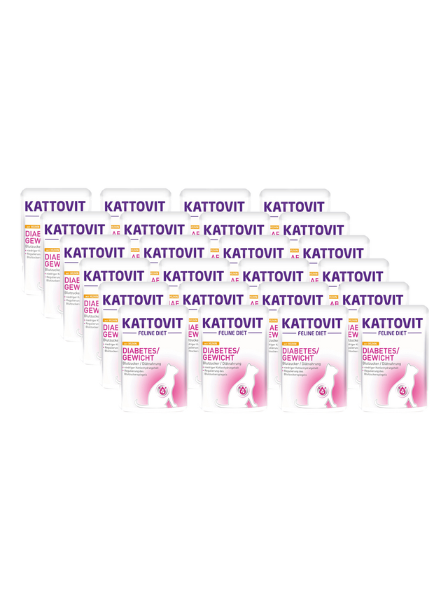 Kattovit Diabetes/Gewicht kurczak 24x85g saszetka