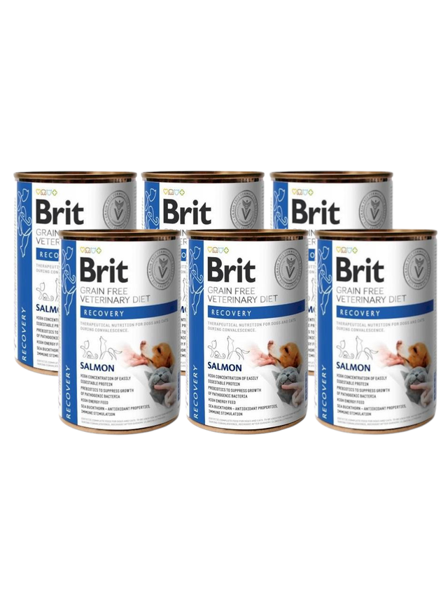BRIT GF Veterinary Diets Recovery Salmon 6x400g - karma mokra dla psa i kota