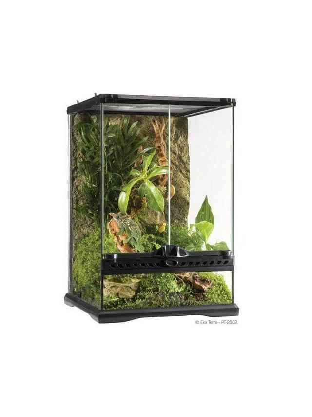 EXOTERRA Terrarium szklane MINI 30x30x45cm